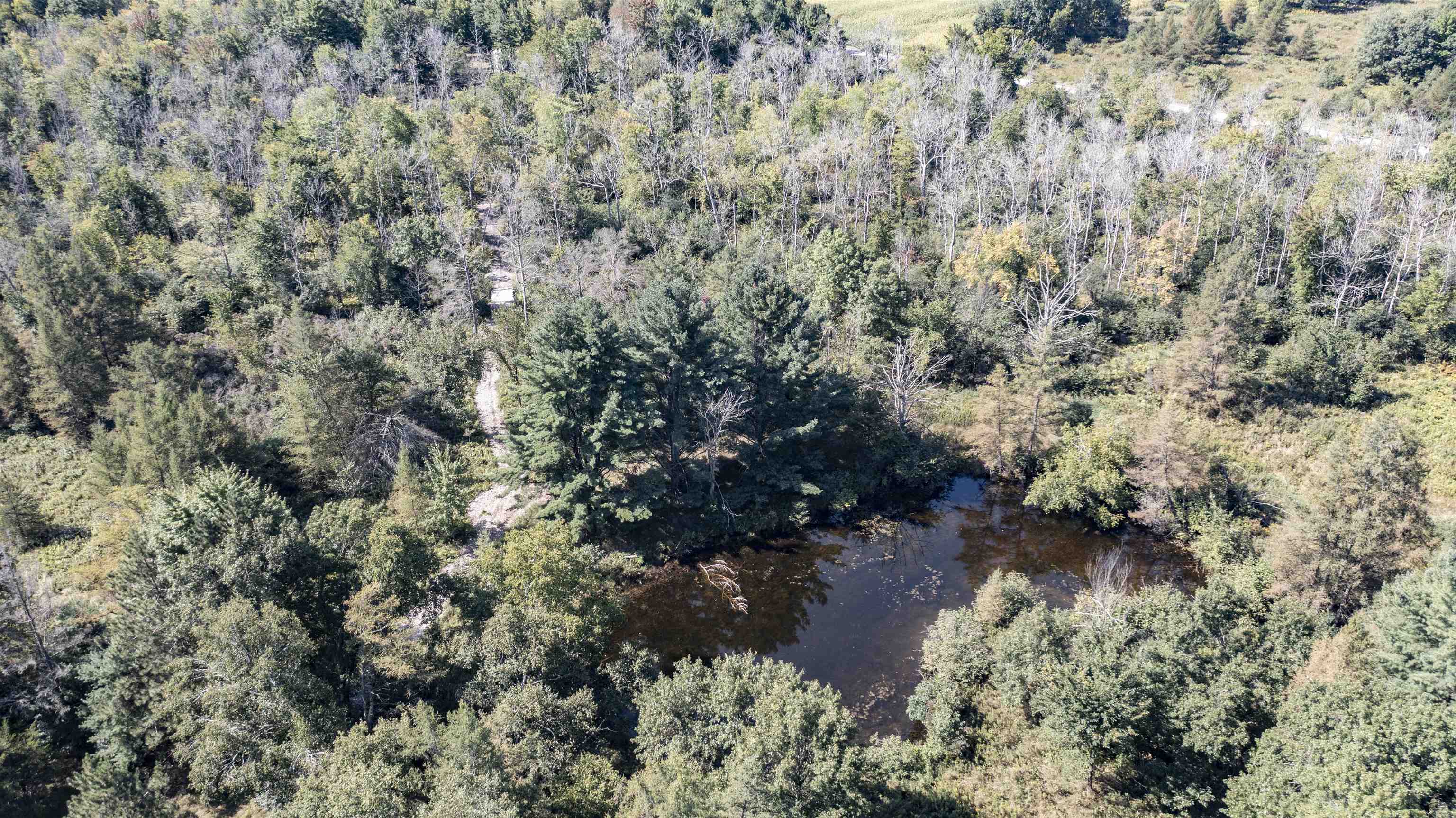 N604 County Rd B Coloma, WI 54930 - Photo 13 of 51