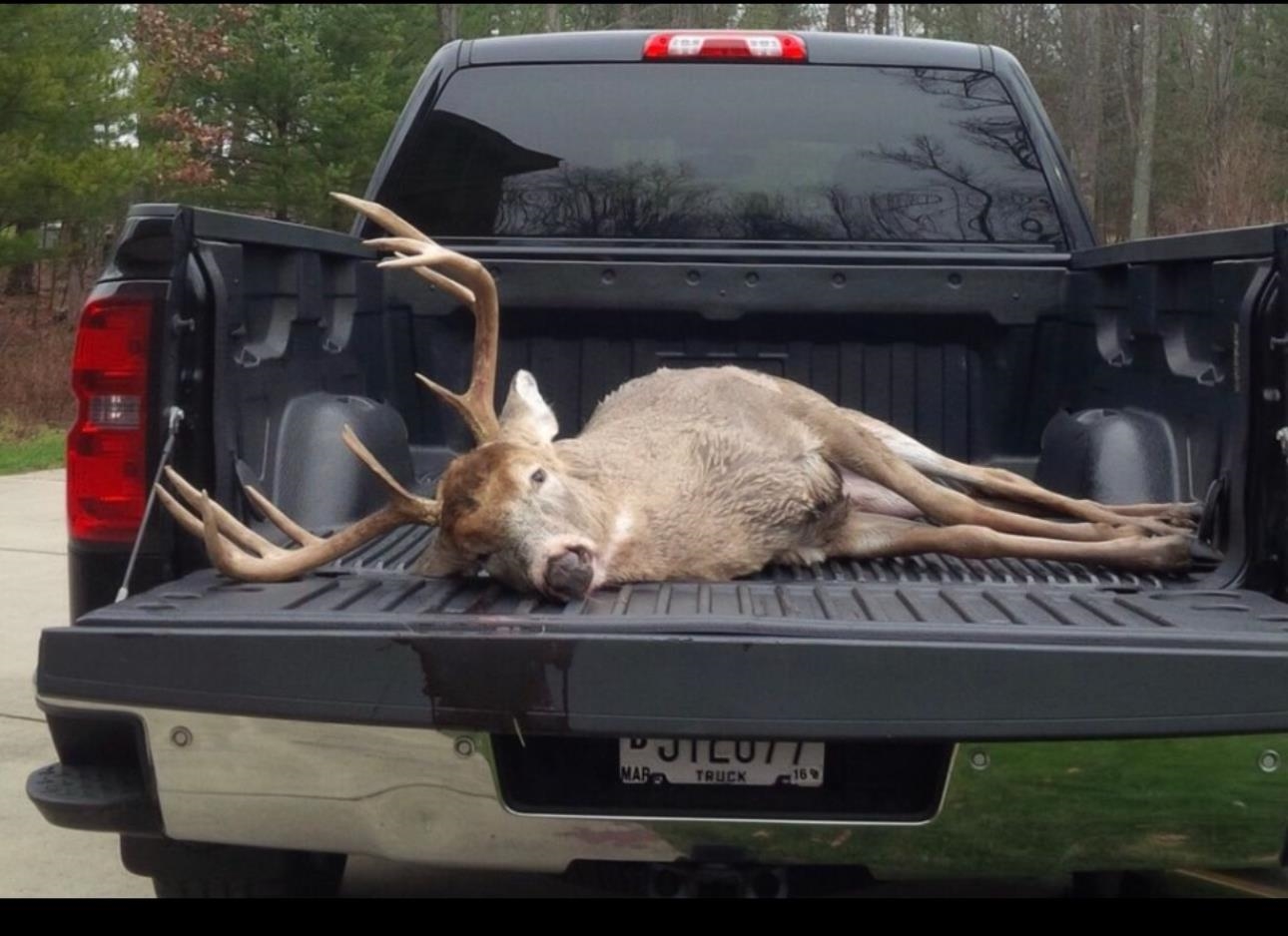 N604 County Rd B Coloma, WI 54930 - Photo 22 of 51