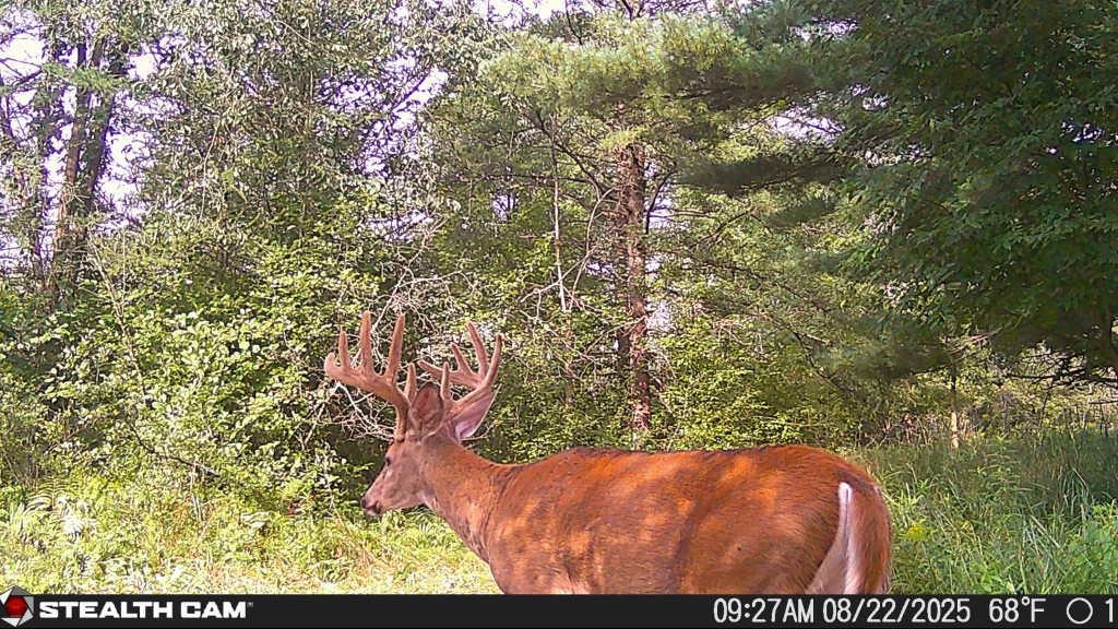 N604 County Rd B Coloma, WI 54930 - Photo 25 of 51