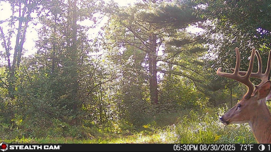 N604 County Rd B Coloma, WI 54930 - Photo 27 of 51