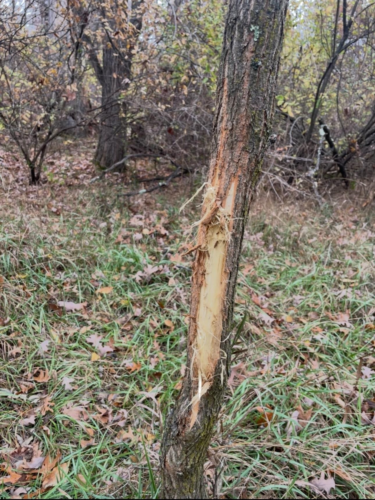 N604 County Rd B Coloma, WI 54930 - Photo 30 of 51