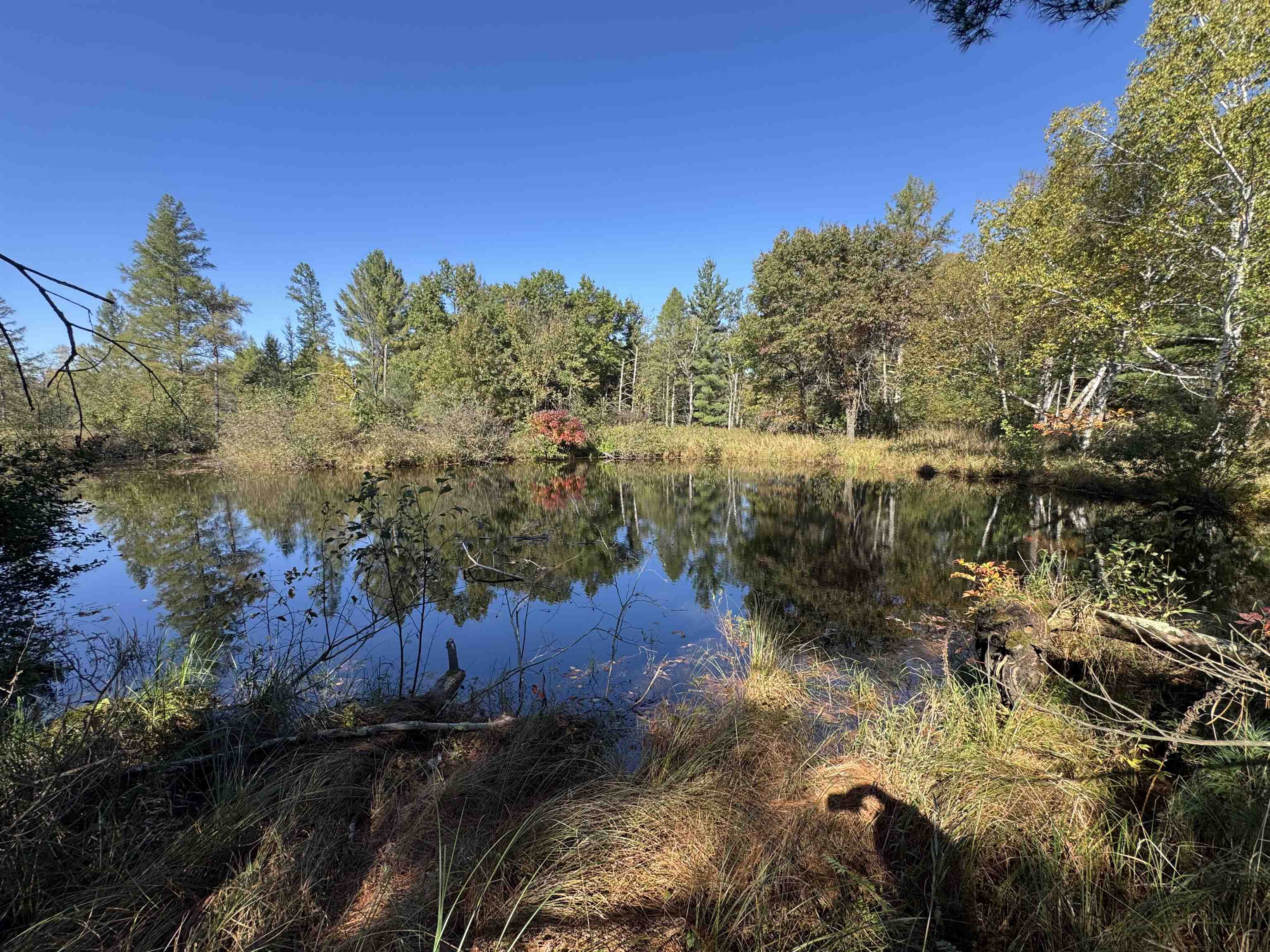 N604 County Rd B Coloma, WI 54930 - Photo 3 of 51