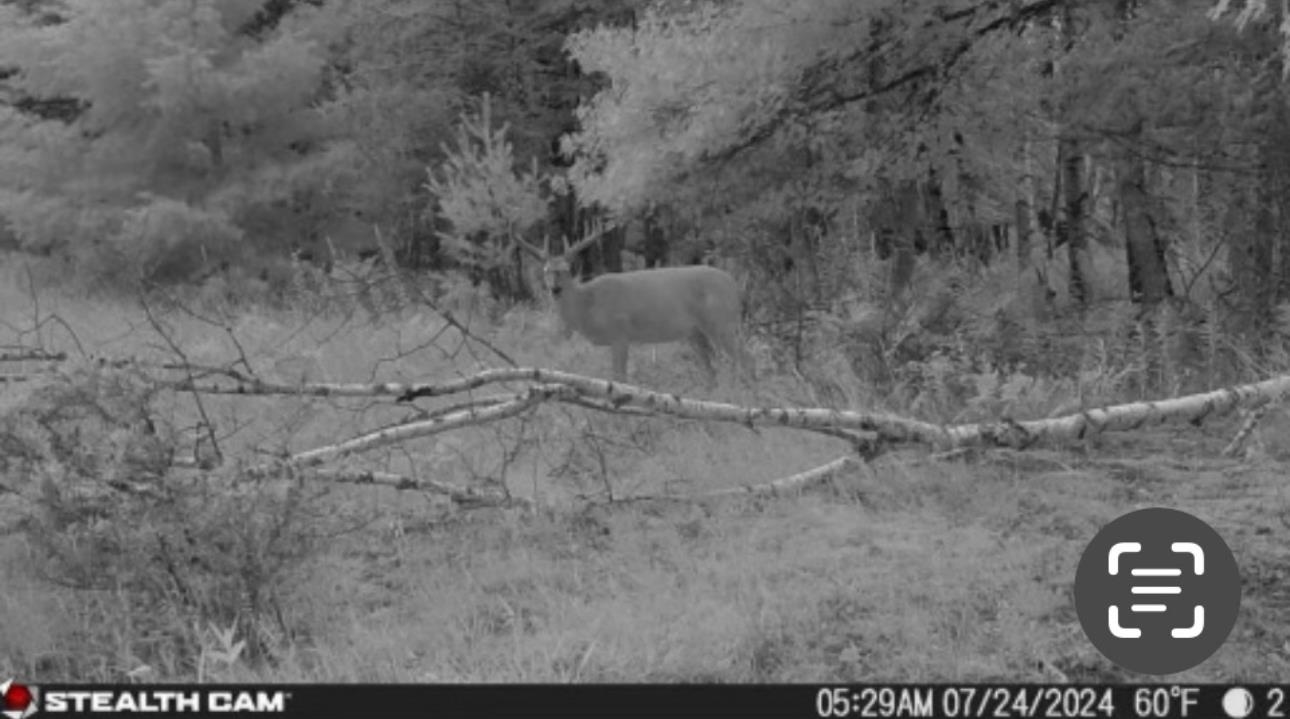 N604 County Rd B Coloma, WI 54930 - Photo 31 of 51