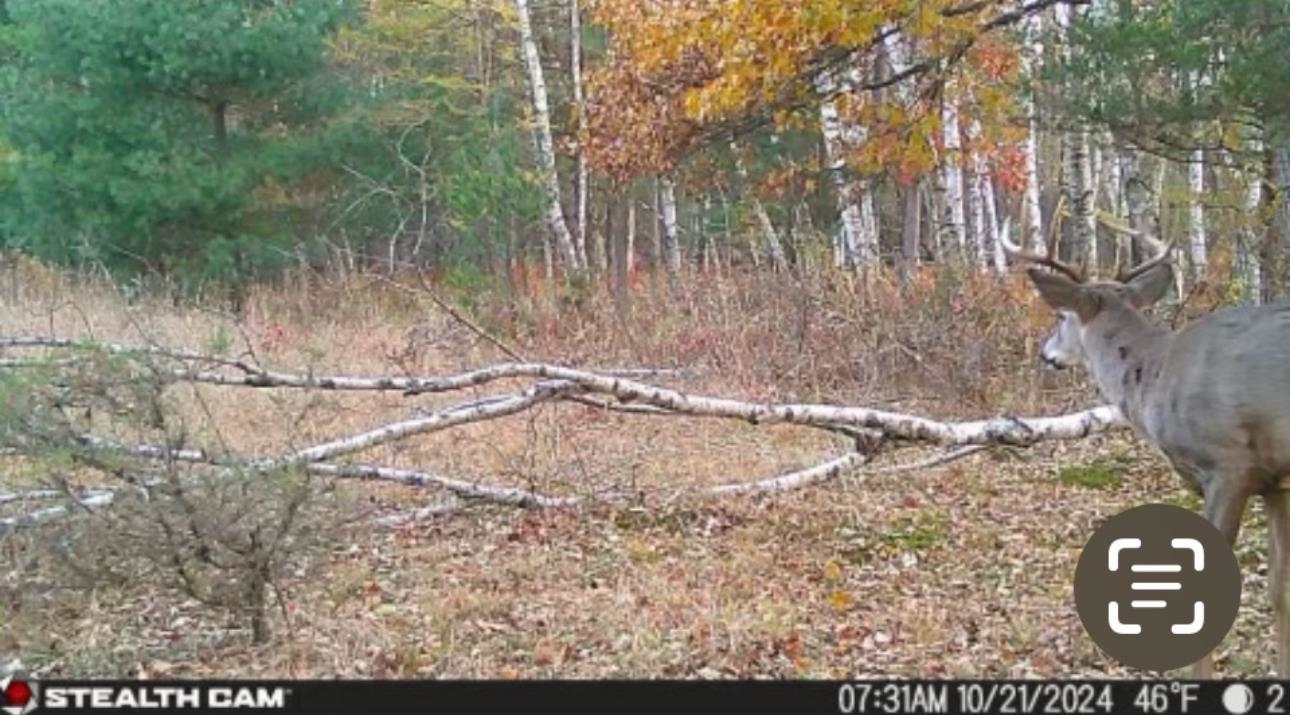 N604 County Rd B Coloma, WI 54930 - Photo 32 of 51