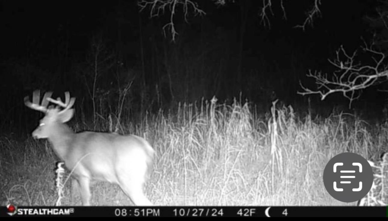 N604 County Rd B Coloma, WI 54930 - Photo 35 of 51