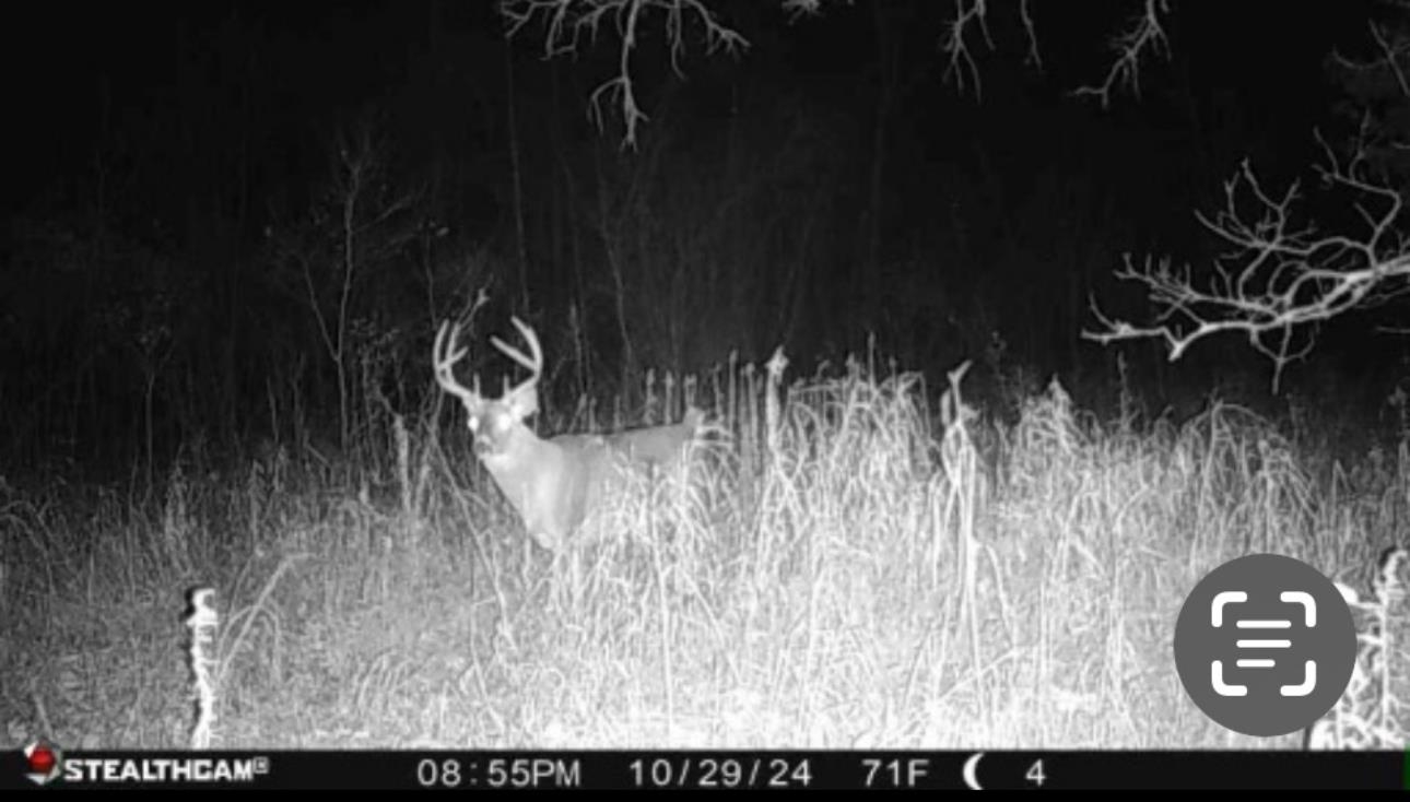 N604 County Rd B Coloma, WI 54930 - Photo 36 of 51