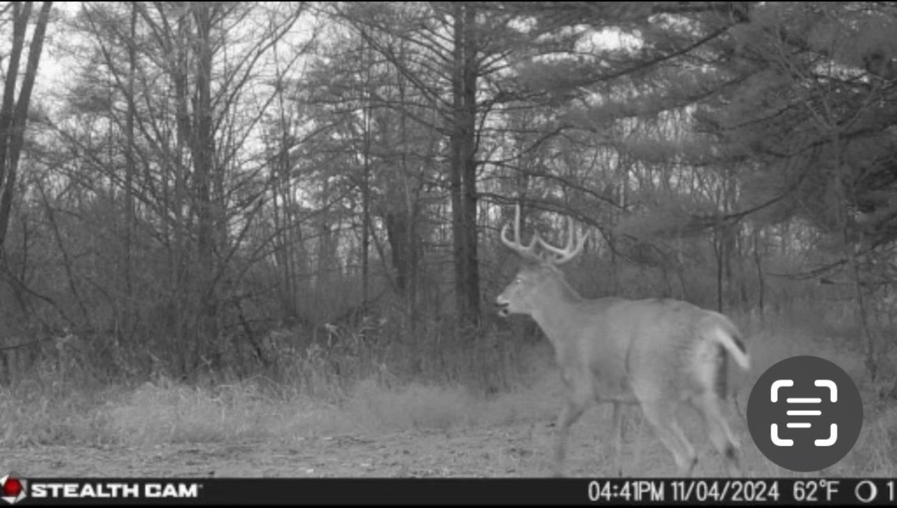 N604 County Rd B Coloma, WI 54930 - Photo 37 of 51