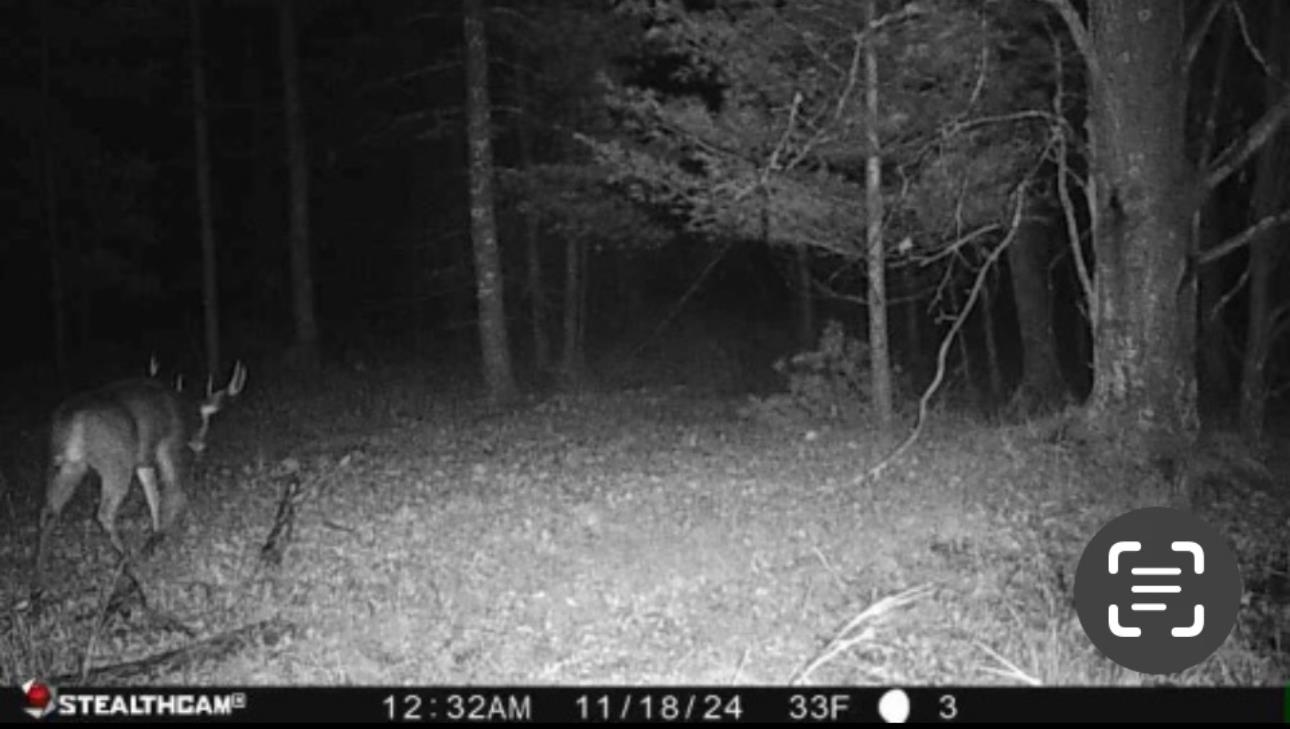 N604 County Rd B Coloma, WI 54930 - Photo 38 of 51