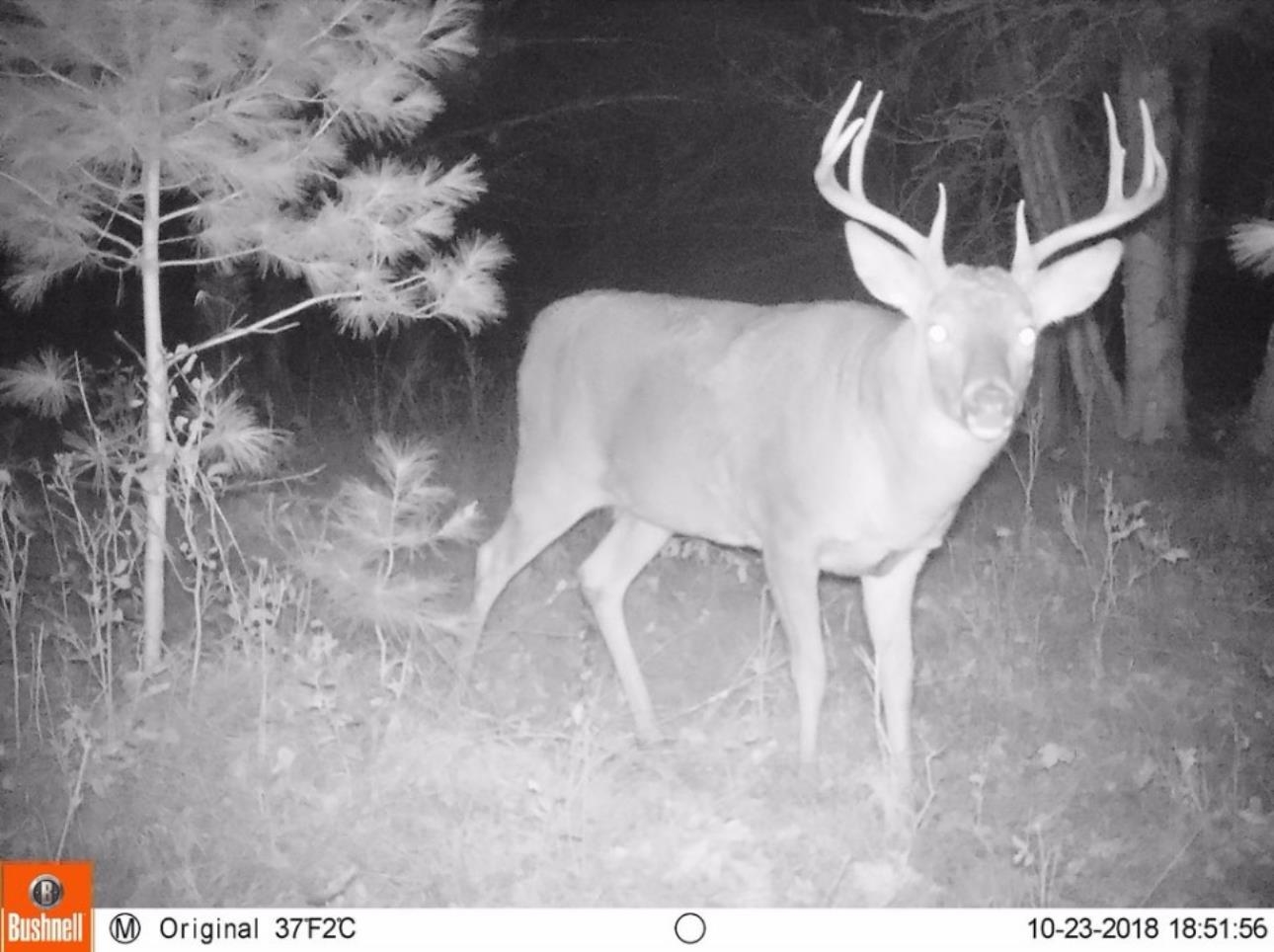 N604 County Rd B Coloma, WI 54930 - Photo 39 of 51