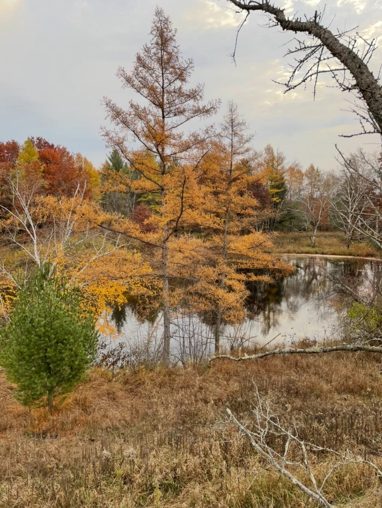 N604 County Rd B Coloma, WI 54930 - Photo 40 of 51