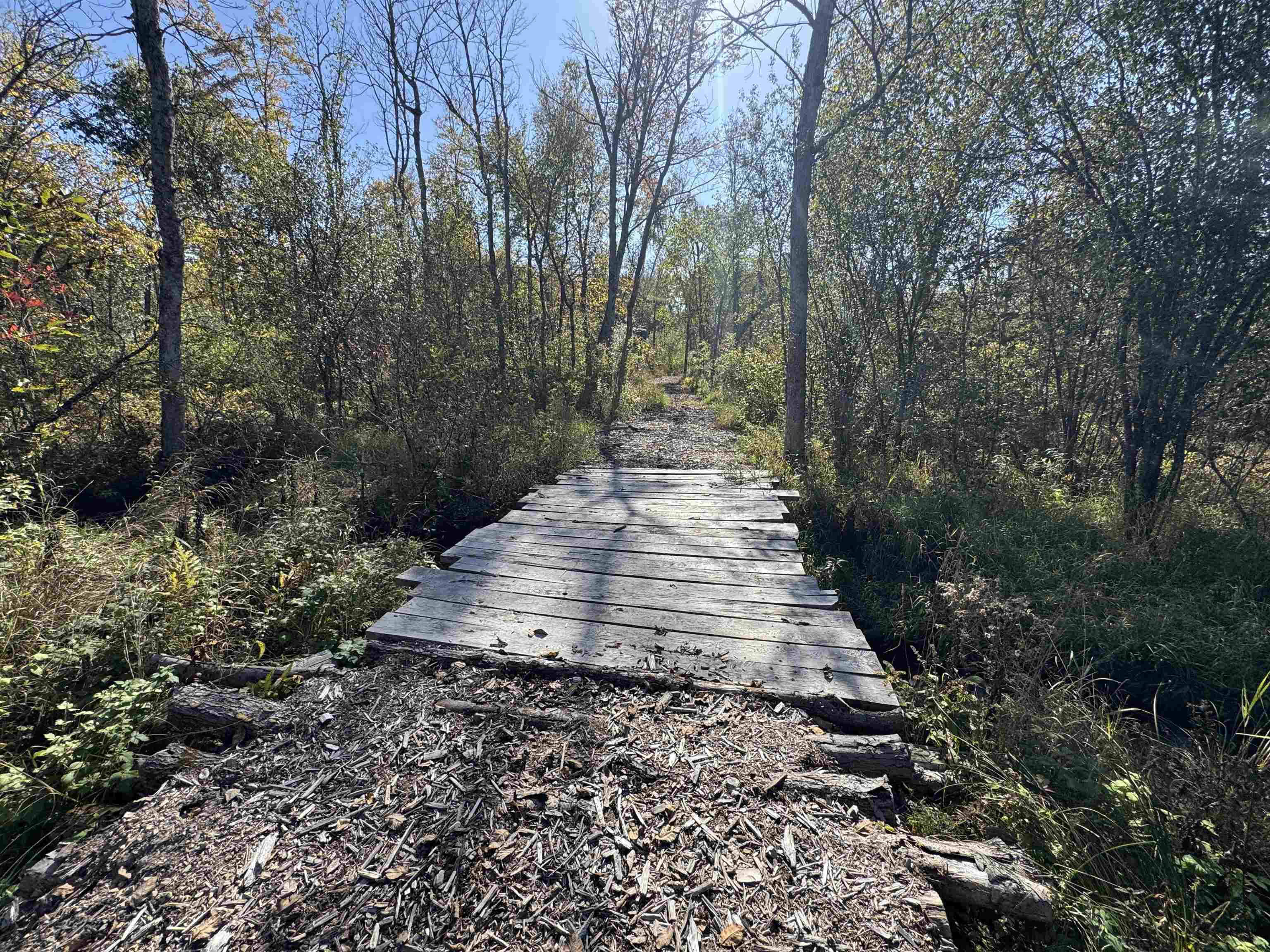 N604 County Rd B Coloma, WI 54930 - Photo 4 of 51