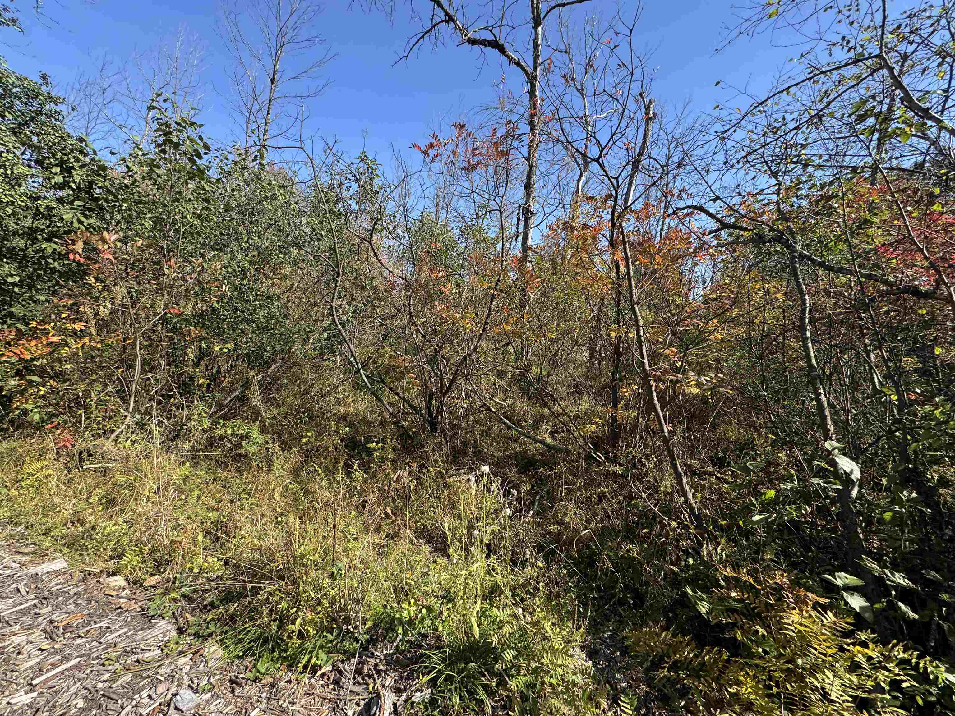 N604 County Rd B Coloma, WI 54930 - Photo 43 of 51