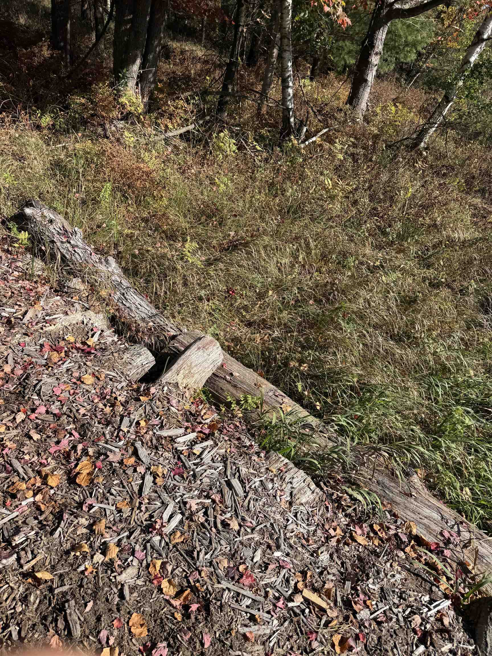 N604 County Rd B Coloma, WI 54930 - Photo 45 of 51