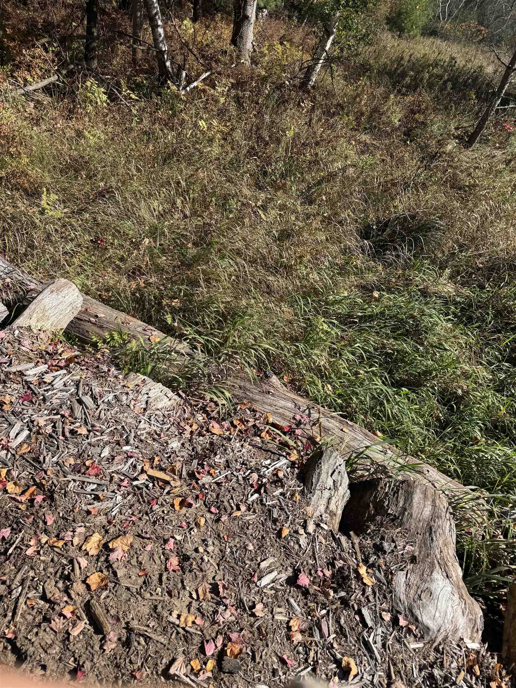 N604 County Rd B Coloma, WI 54930 - Photo 46 of 51