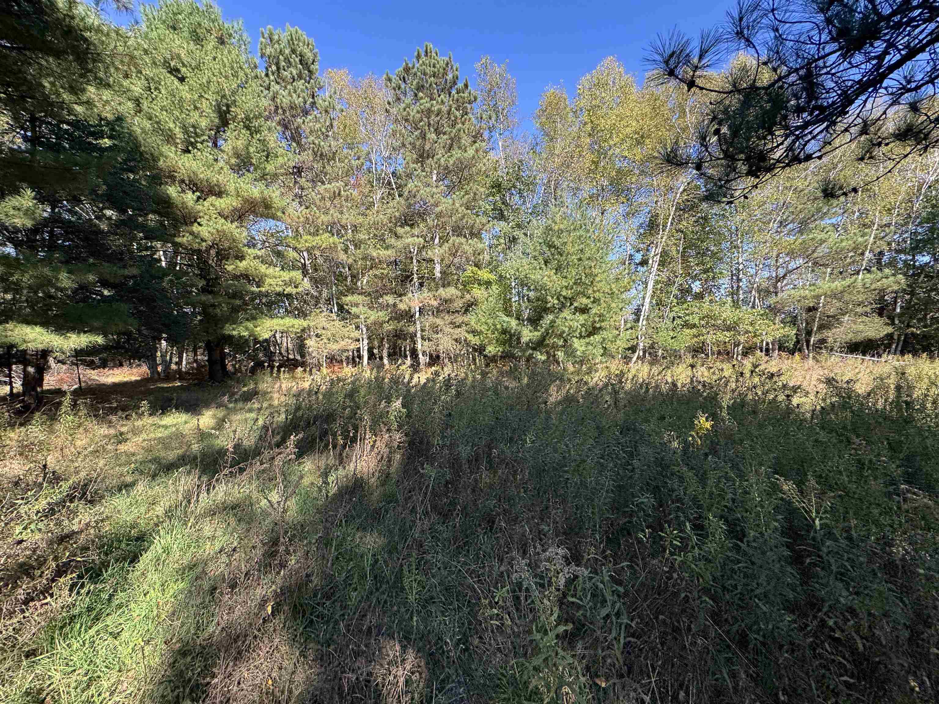 N604 County Rd B Coloma, WI 54930 - Photo 47 of 51