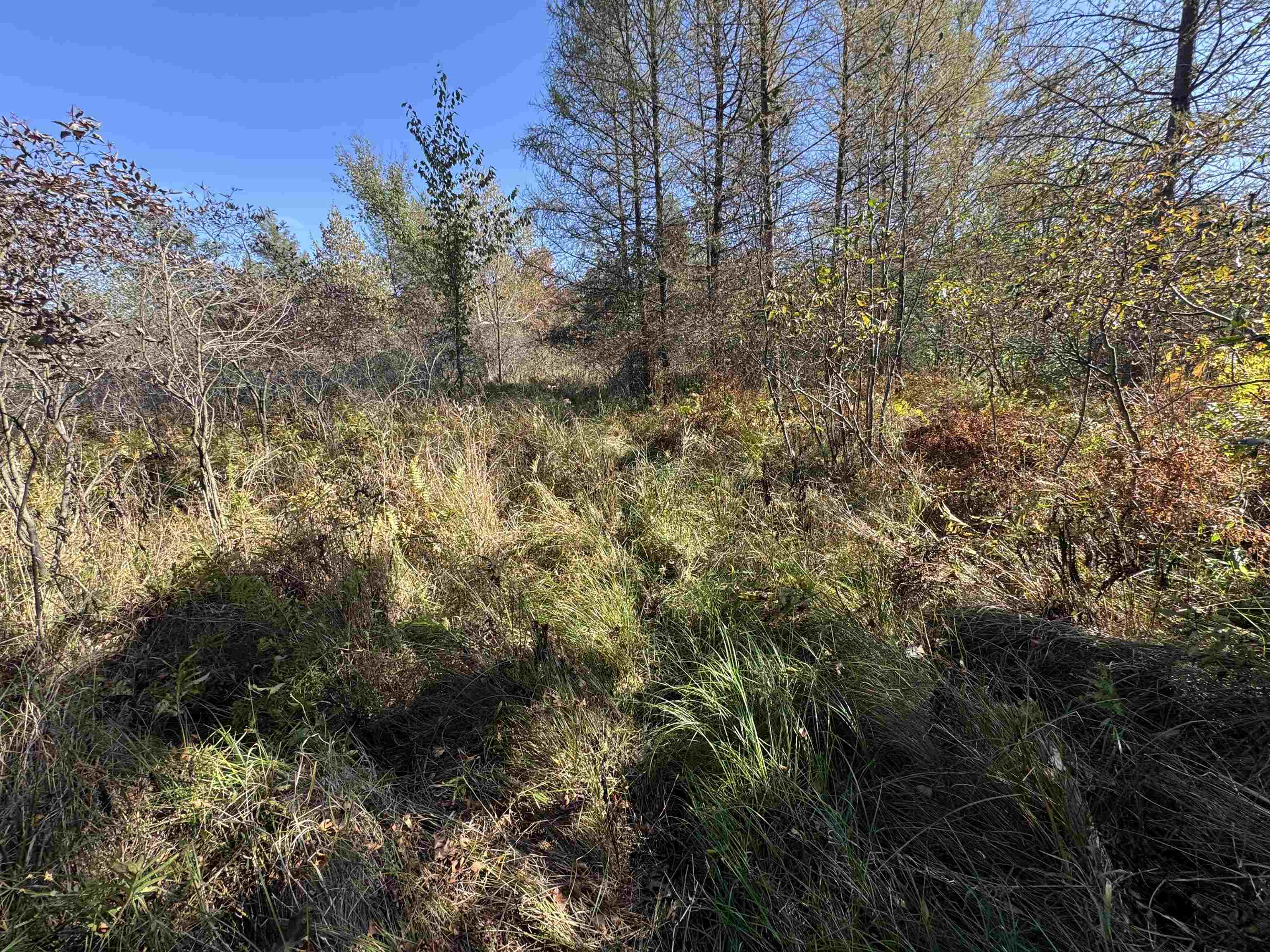 N604 County Rd B Coloma, WI 54930 - Photo 48 of 51