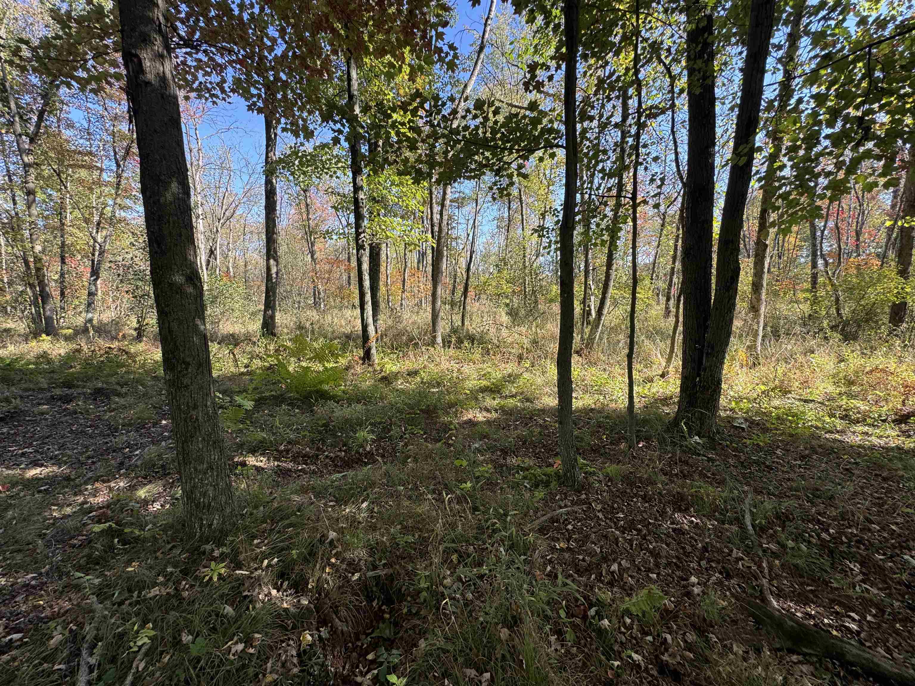 N604 County Rd B Coloma, WI 54930 - Photo 49 of 51