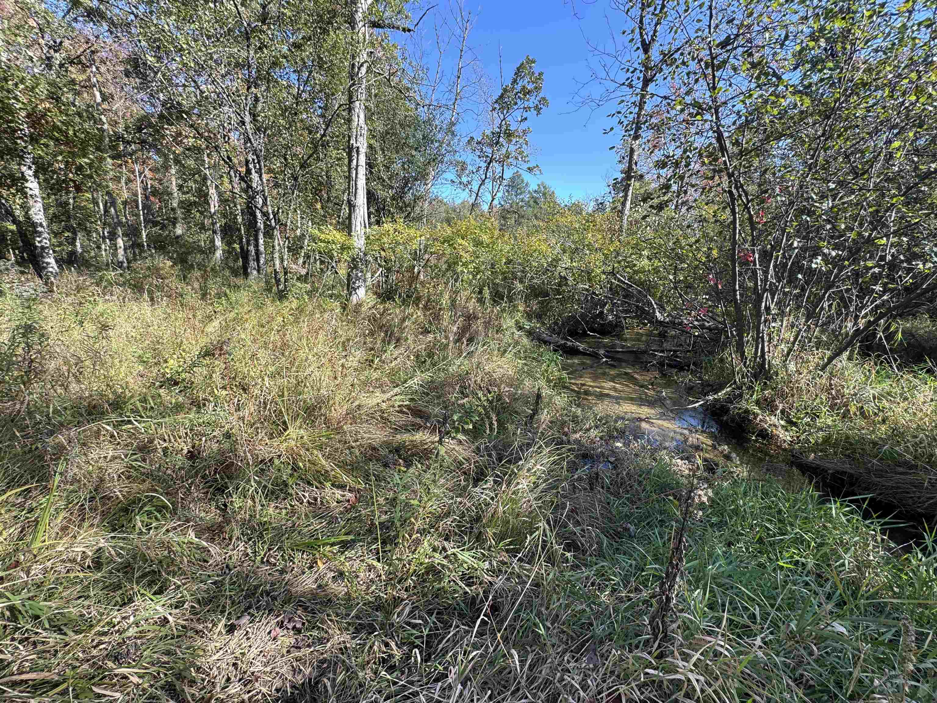 N604 County Rd B Coloma, WI 54930 - Photo 50 of 51