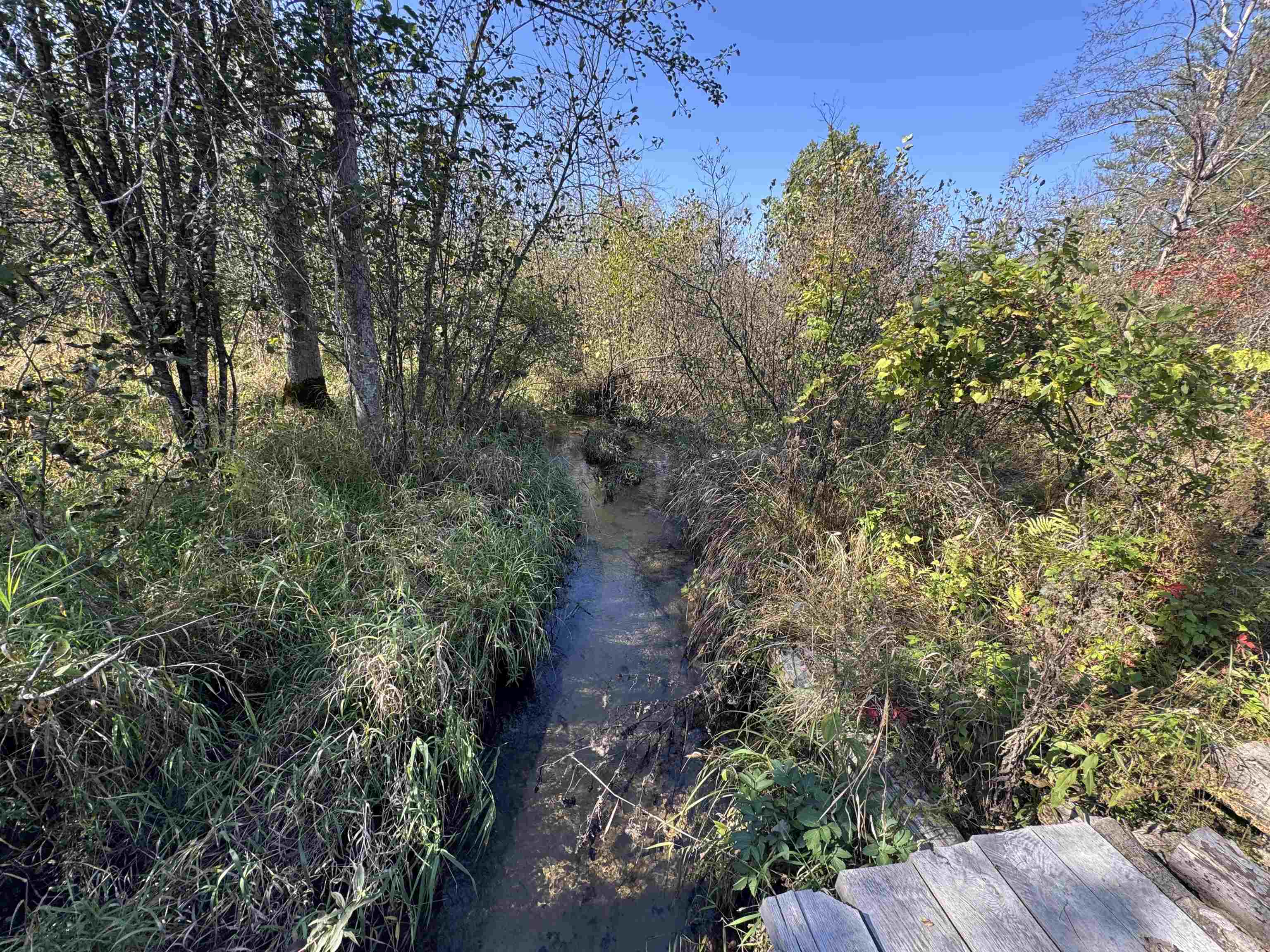 N604 County Rd B Coloma, WI 54930 - Photo 5 of 51