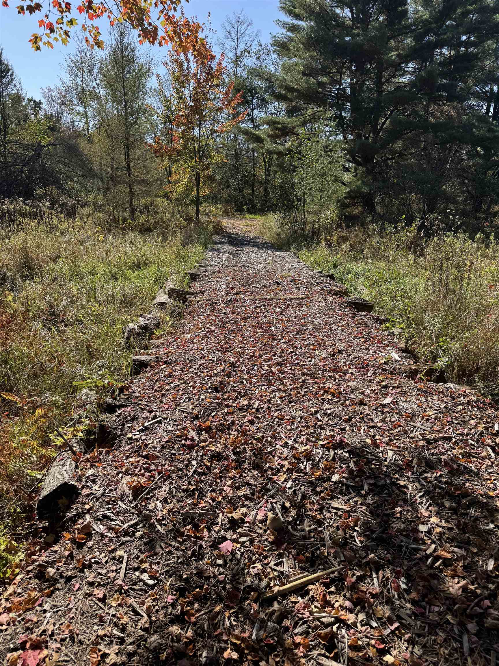 N604 County Rd B Coloma, WI 54930 - Photo 7 of 51