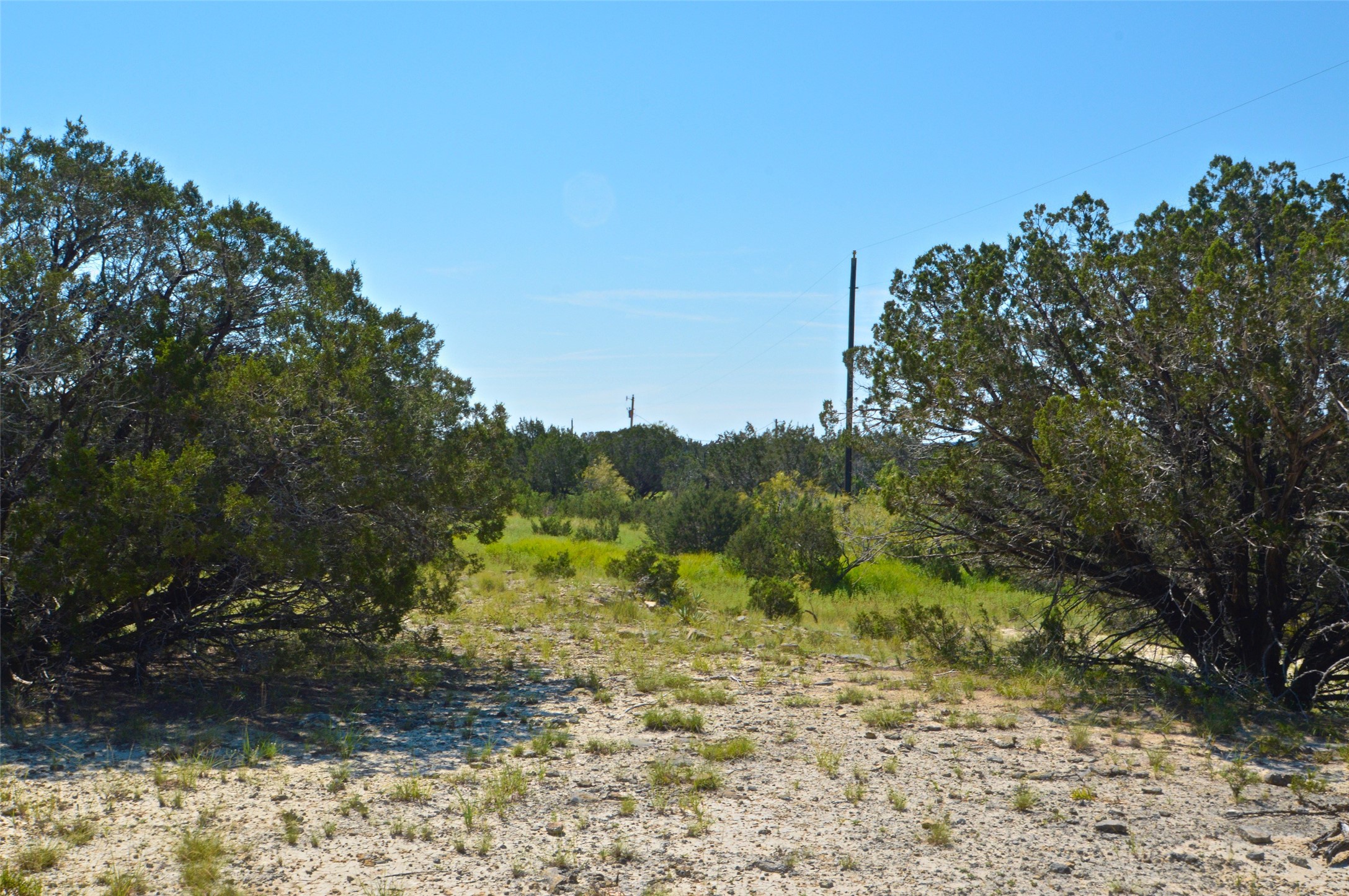 1 Cr 2268 Road Lampasas, TX 76550 - Photo 4 of 11 a view of a yard with a tree