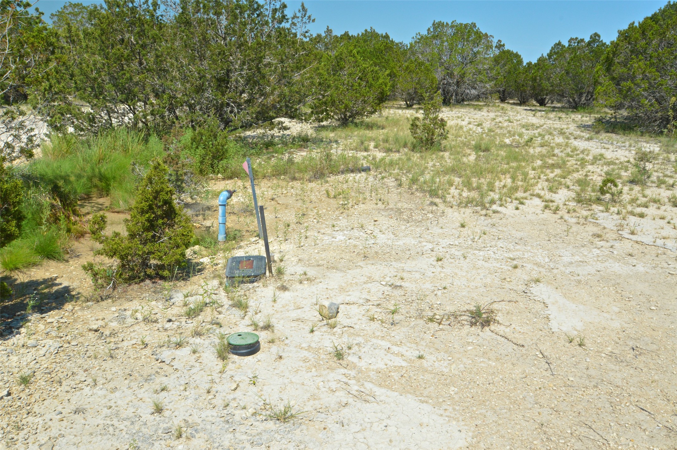 1 Cr 2268 Road Lampasas, TX 76550 - Photo 10 of 11 a view of a yard with trees