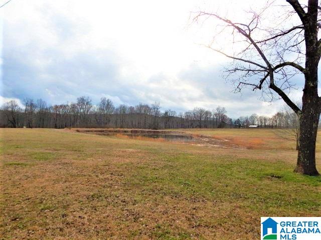 1777 Deaver Walker Road Cleveland, AL 35049 - Photo 18 of 21