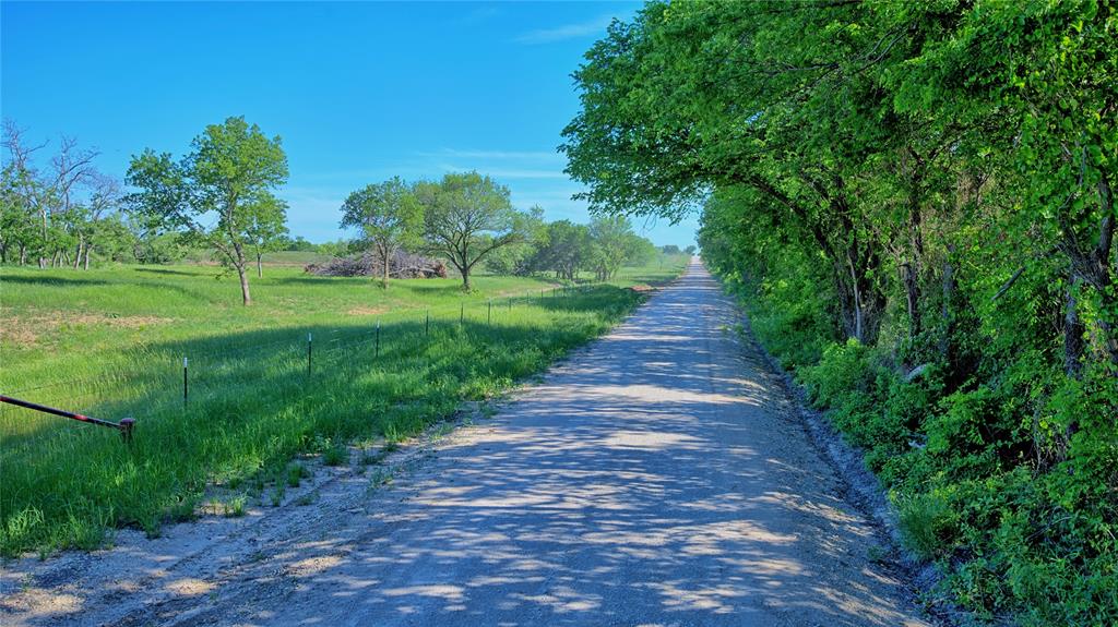 0 Carpenter Road Nocona, TX 76255 - Photo 11 of 24 a view of a park with large trees