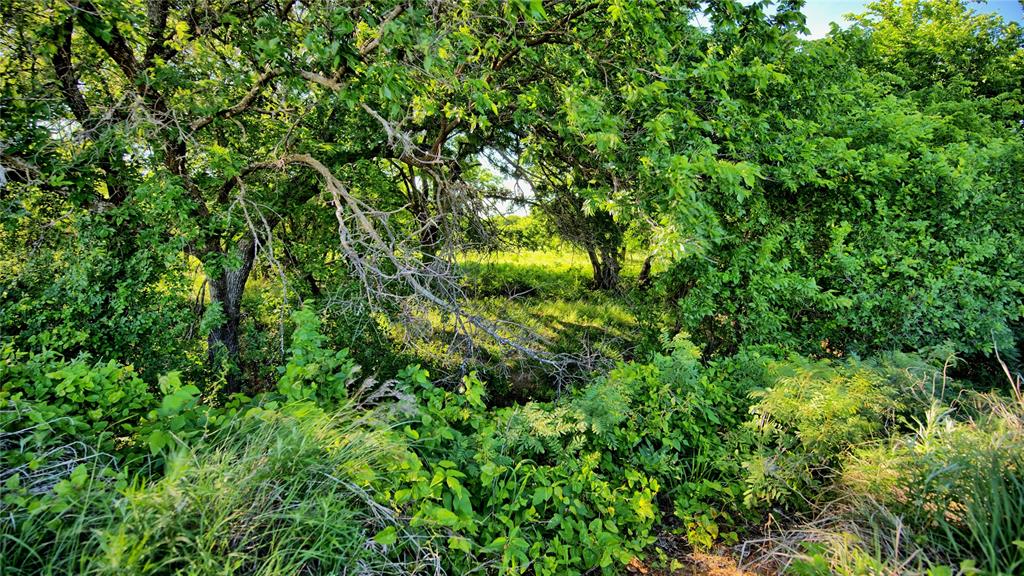 0 Carpenter Road Nocona, TX 76255 - Photo 12 of 24 a view of a lush green space