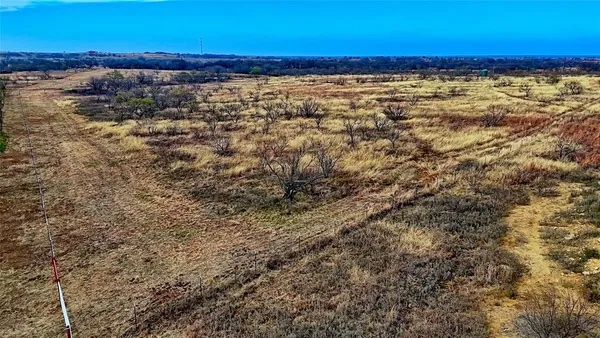 a view of a yard with trees
