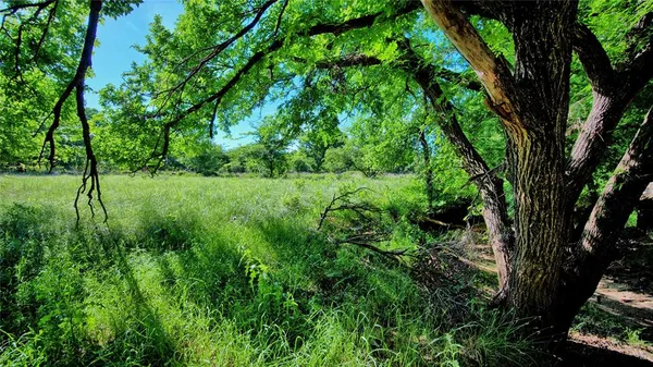 $433,650 | 0 Carpenter Road, Nocona, TX 76255