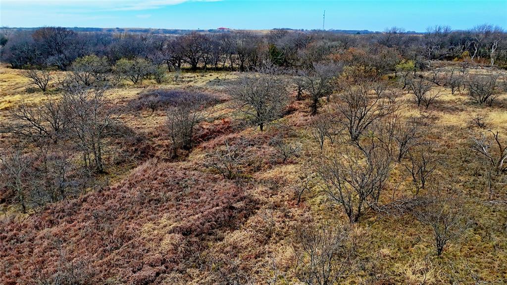 0 Carpenter Road Nocona, TX 76255 - Photo 13 of 24 a view of a dry yard with trees