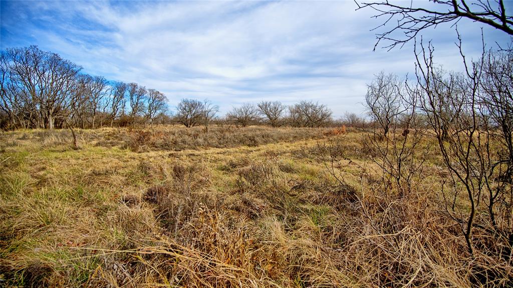 0 Carpenter Road Nocona, TX 76255 - Photo 15 of 24 a view of a yard with trees