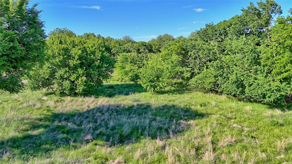 0 Carpenter Road Nocona, TX 76255 - Photo 19 of 24 a view of a garden from a lake