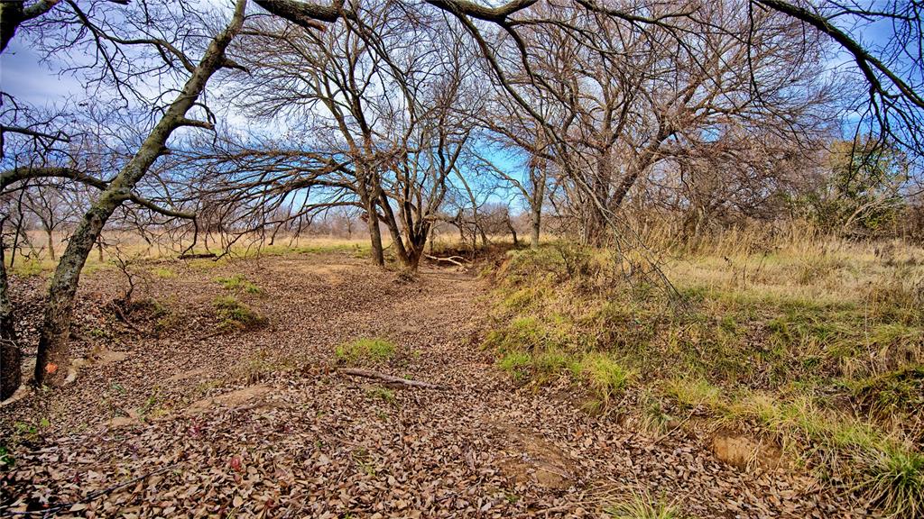 0 Carpenter Road Nocona, TX 76255 - Photo 20 of 24 a view of yard covered with snow
