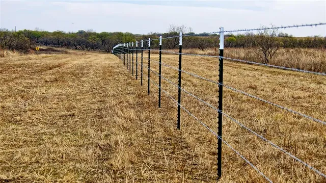 a view of park with trees