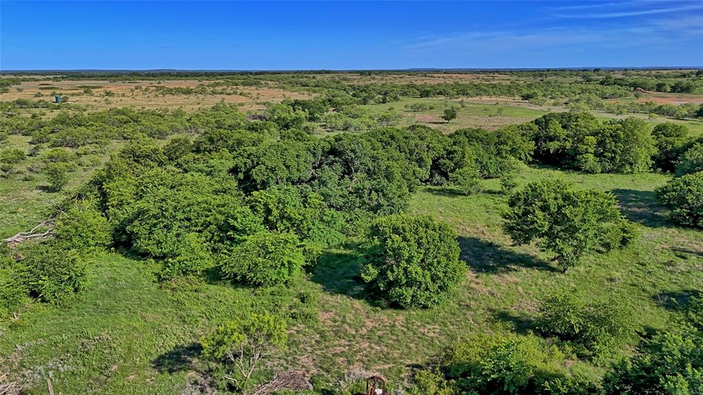 0 Carpenter Road Nocona, TX 76255 - Photo 2 of 24 a view of a yard with an trees