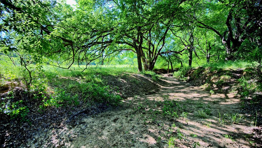 0 Carpenter Road Nocona, TX 76255 - Photo 22 of 24 a view of outdoor space and yard