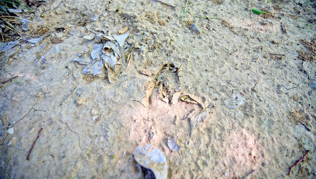 0 Carpenter Road Nocona, TX 76255 - Photo 5 of 24 a close up of a white marble wall