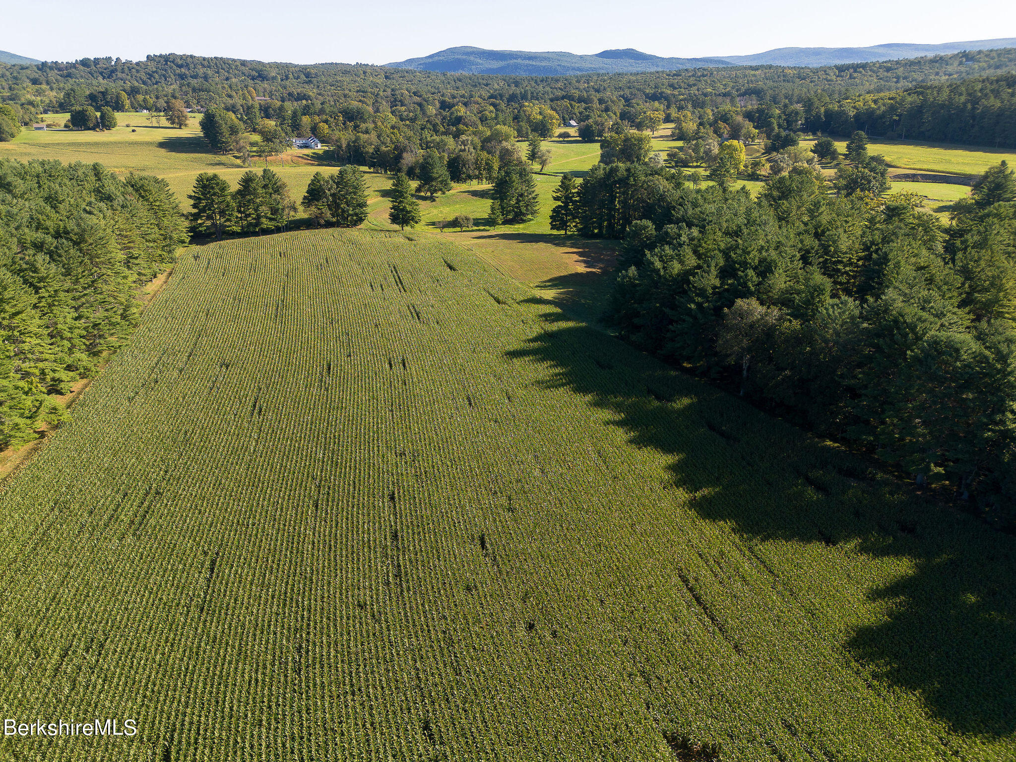 87 Alford Road Great Barrington, MA 01230 - Photo 7 of 65 Cornfields