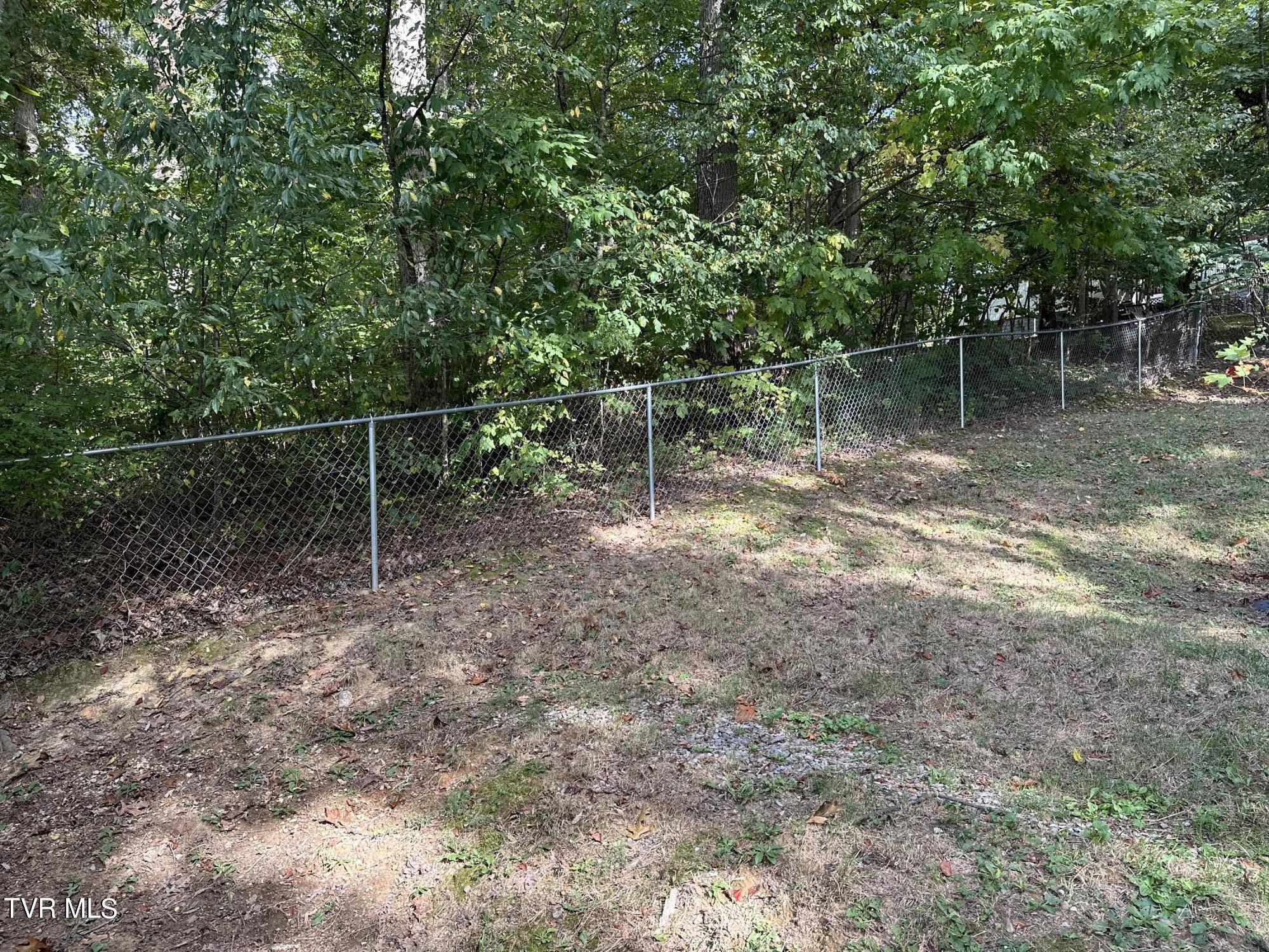 1370 Lovelace Road Fall Branch, TN 37656 - Photo 42 of 55 fenced back yard