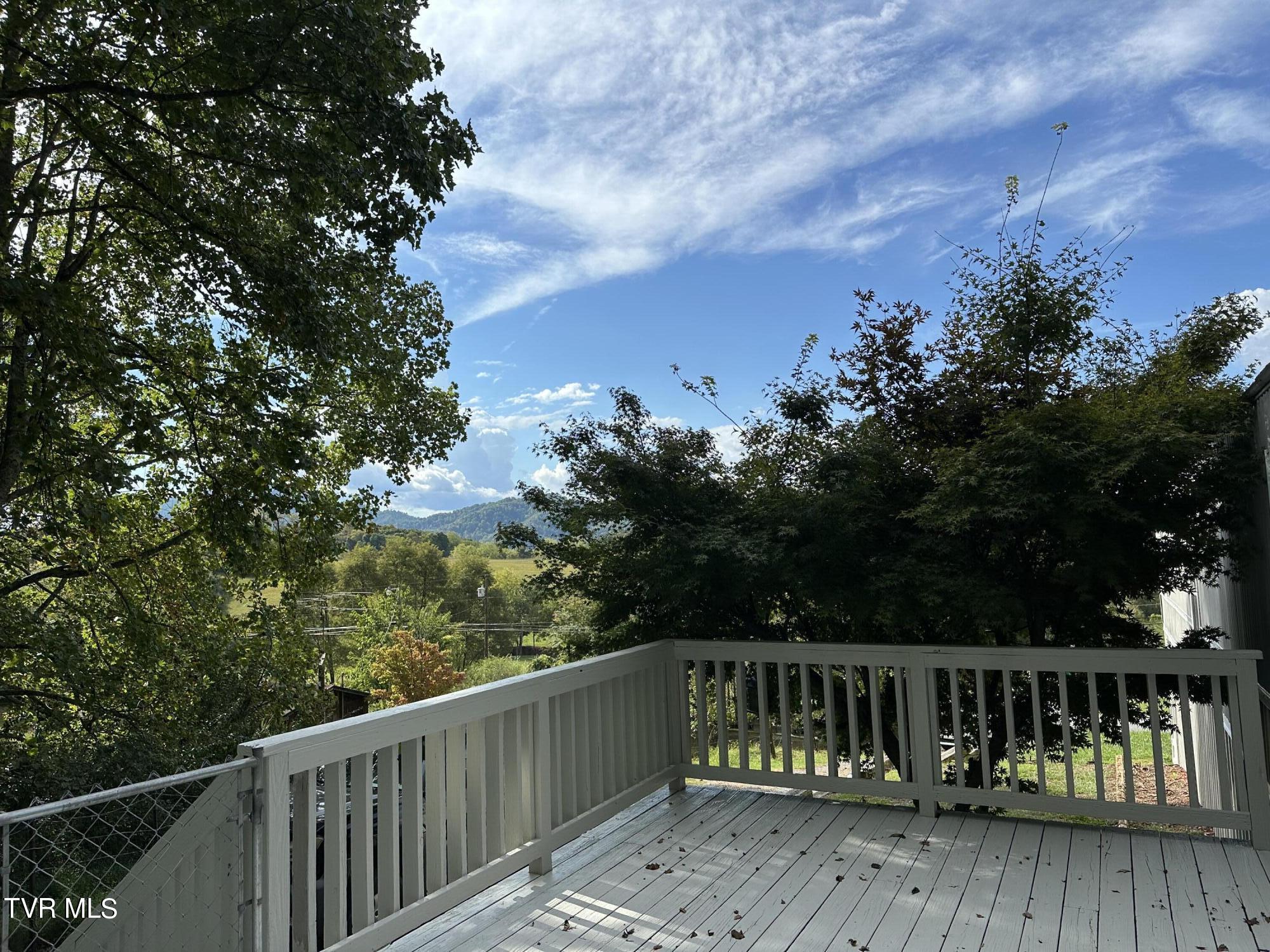 1370 Lovelace Road Fall Branch, TN 37656 - Photo 6 of 55 Private just relax here