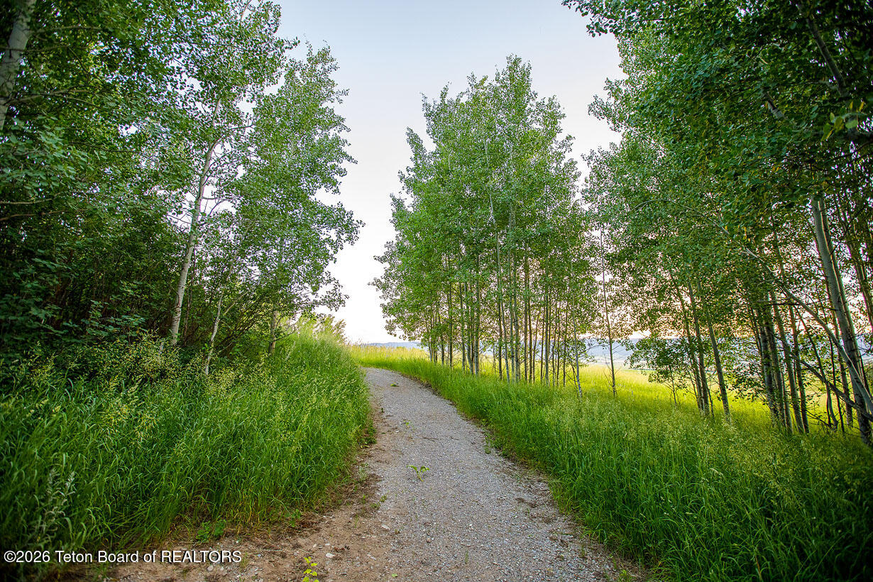 144 Roberts Road Etna, WY 83118 - Photo 41 of 47 Roberts 0904