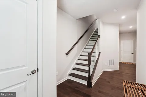 a park with large trees