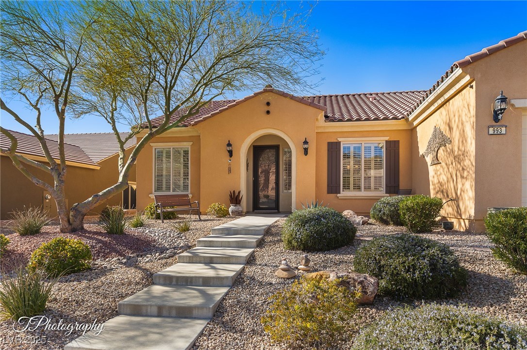 993 Starlight Terrace Way Mesquite, NV 89034 - Photo 2 of 46 Exterior Front
