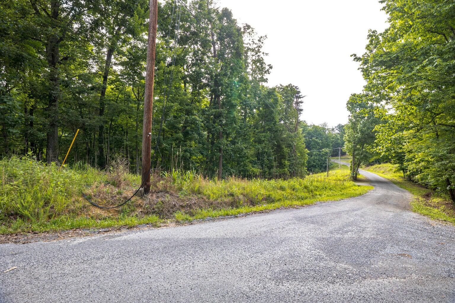 Lot 165 Maple Drive Spring City, TN 37381 - Photo 3 of 8 3