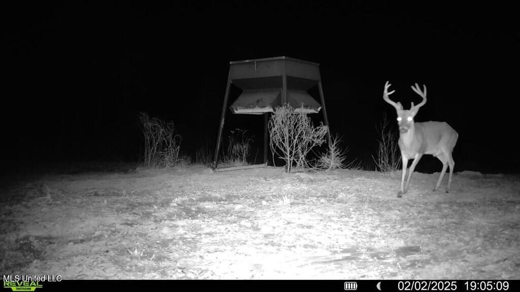 3 Cemetery Road Harrisonburg, LA 71340 - Photo 1 of 29 144561_1