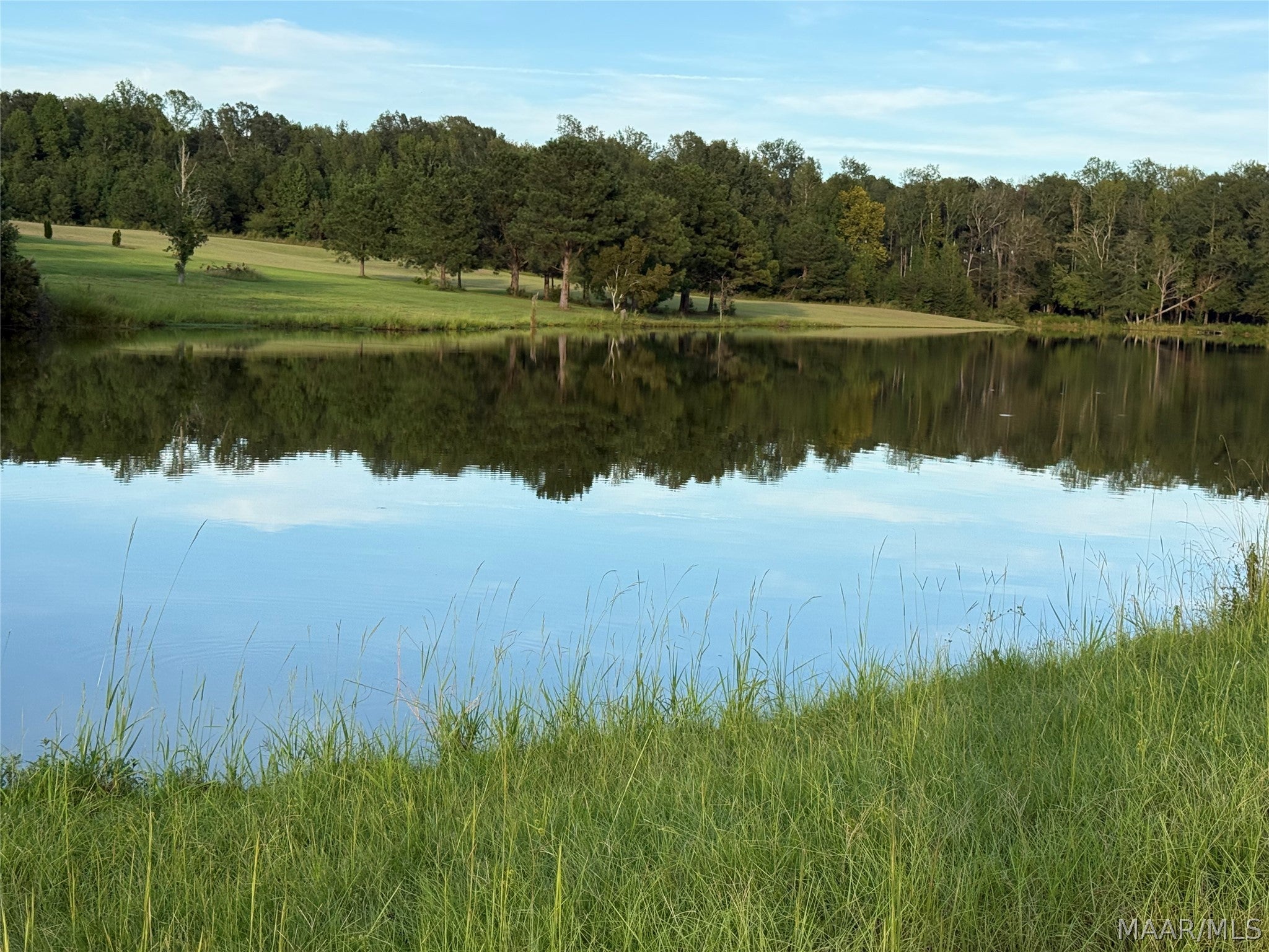 Lot 4 Chesson Court Fitzpatrick, AL 36029 - Photo 9 of 16 Gallery Image 9