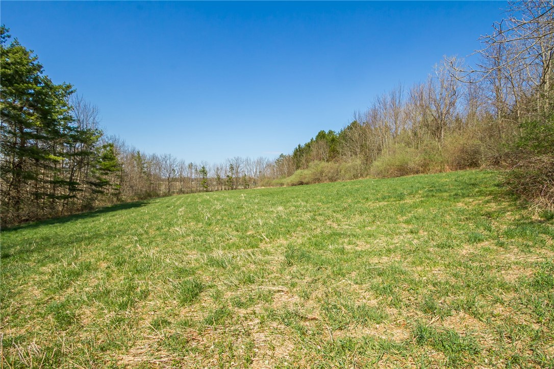 3170 Bailey Road East Bloomfield, NY 14469 - Photo 40 of 46