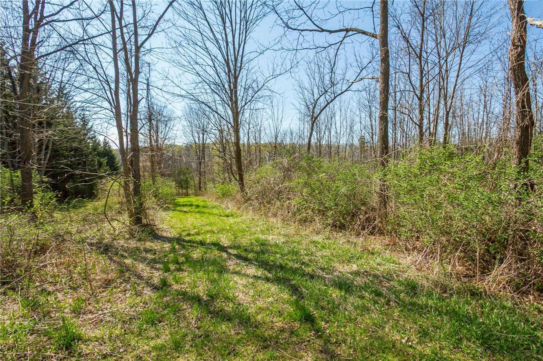 3170 Bailey Road East Bloomfield, NY 14469 - Photo 41 of 46